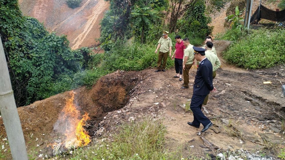 Cao Bằng: Tiêu hủy 62kg thủy sản sấy khô nguy cấp, quý hiếm
