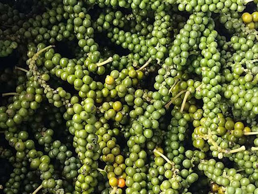 Giá tiêu ngày 28/10: Biến động giá ở Đồng Nai