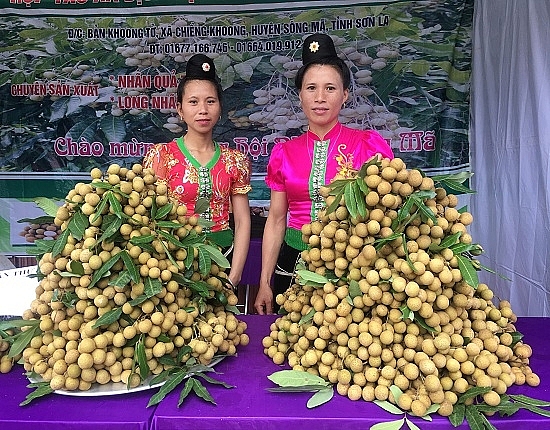 Nhãn sông Mã chinh phục thị trường
