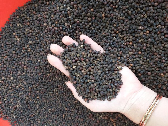 Giá tiêu ngày 10/11: Vượt mốc 56 triệu/tấn