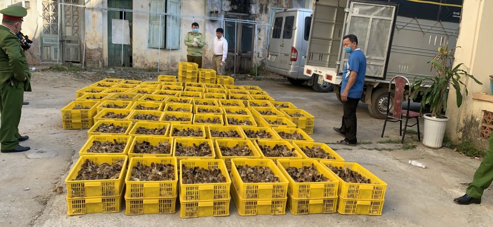Lạng Sơn: Ngăn chặn 40.000 con gia cầm nhập lậu