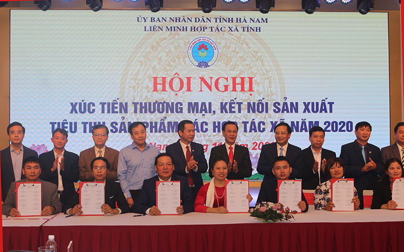 Kết nối sản xuất tiêu thụ sản phẩm các HTX