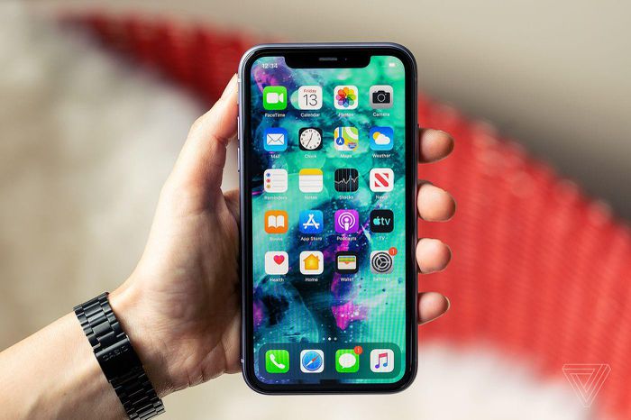 Apple sửa chữa miễn phí nếu iPhone 11 bị lỗi màn hình