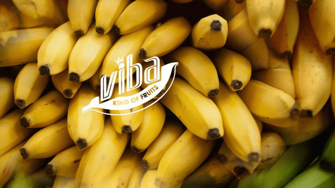 Chuối tiêu hồng Viba