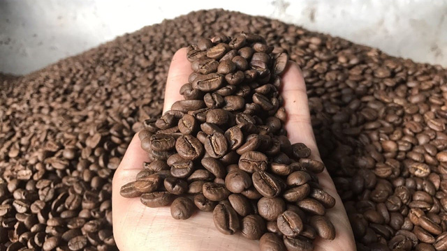 Giá cà phê hôm nay 14/12: Arabica trên đà tăng mạnh, Robusta thận trọng với diễn biến vụ mới ở Việt Nam