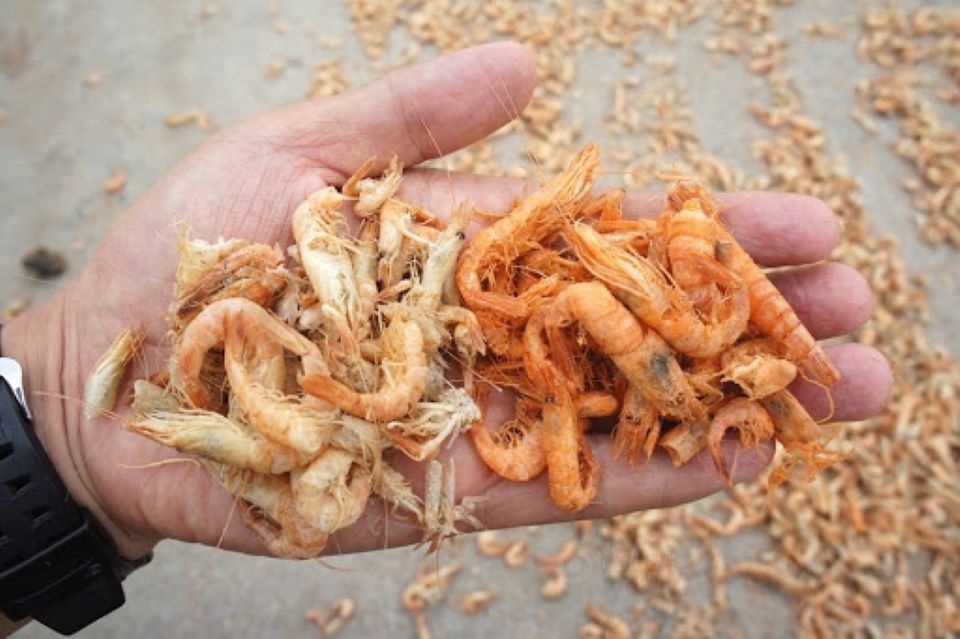 Phân biệt tôm khô tự nhiên và tôm khô hóa chất