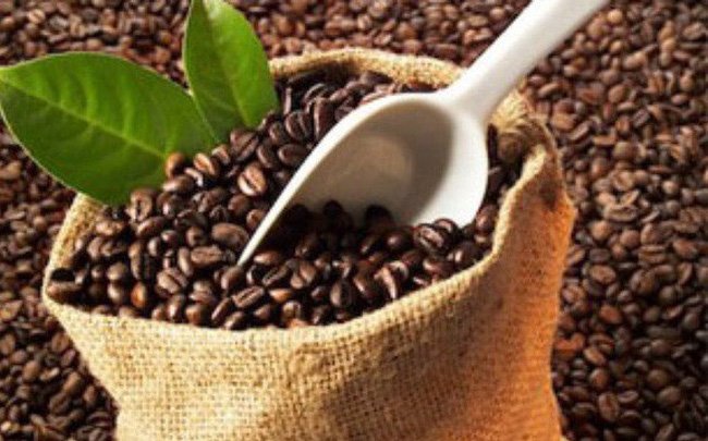 Giá cà phê ngày 23/12: Cao nhất 32.800 đồng/kg tại Đắk Lắk
