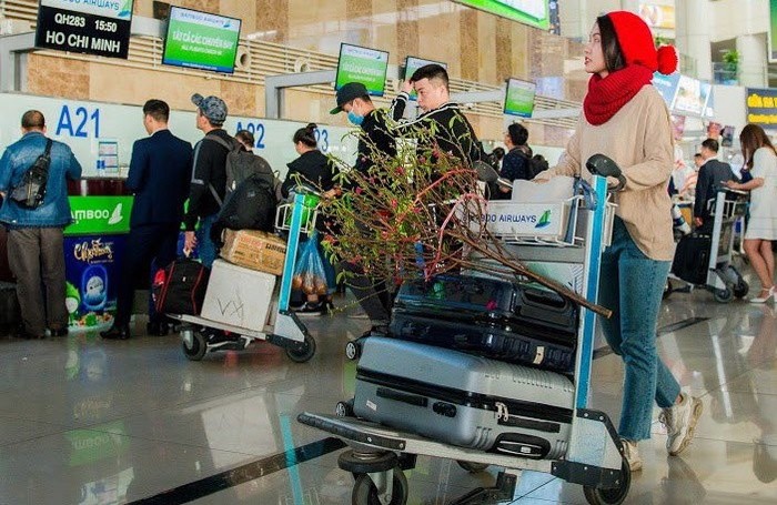 Vietnam Airlines và Bamboo Airways nhận vận chuyển đào, mai Tết Tân Sửu