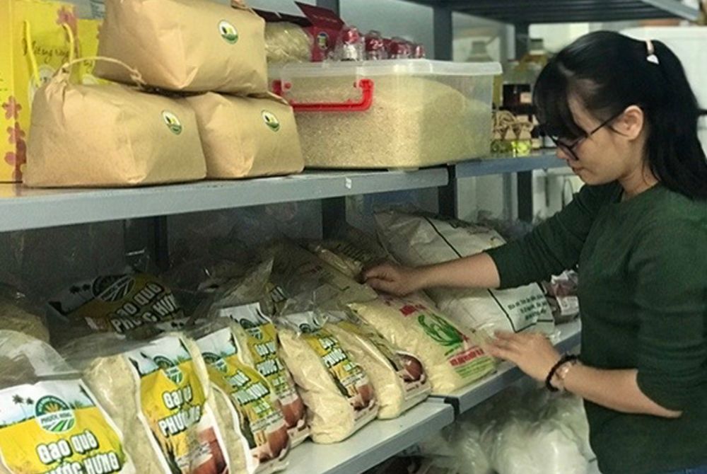 Gạo an toàn “made in Bình Ðịnh”