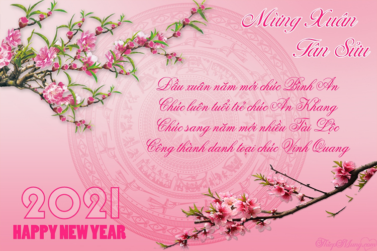 CHÚC MỪNG NĂM MỚI 2021 - HAPPY NEW YEAR