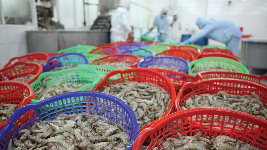 Thủy hải sản, rau quả, gạo xuất sang Anh thuế về 0% từ hôm nay 1/1/2021
