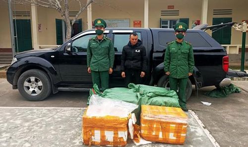 Bắt giữ 700kg nầm lợn không rõ nguồn gốc tuồn vào Việt Nam
