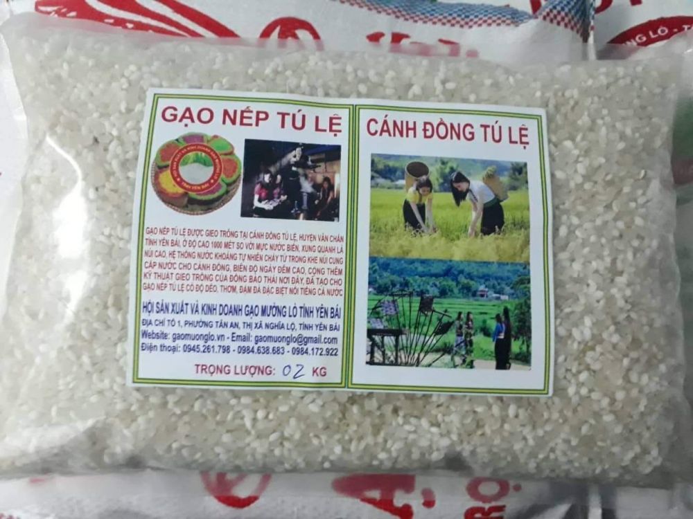Gạo nếp Tú Lệ