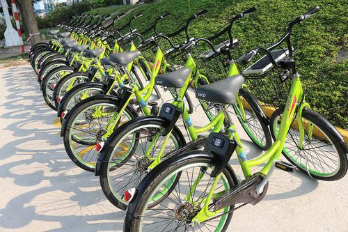 Đề xuất cho Công ty Trí Nam triển khai xe đạp công cộng ở trung tâm TP HCM