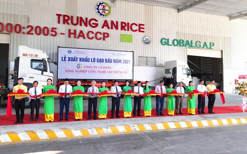 1.600 tấn gạo “lên đường” sang Singapore và Malaysia