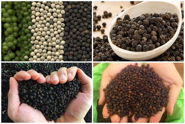 Giá tiêu ngày 5/2: Trong khoảng 51.000 - 53.500 đồng/kg