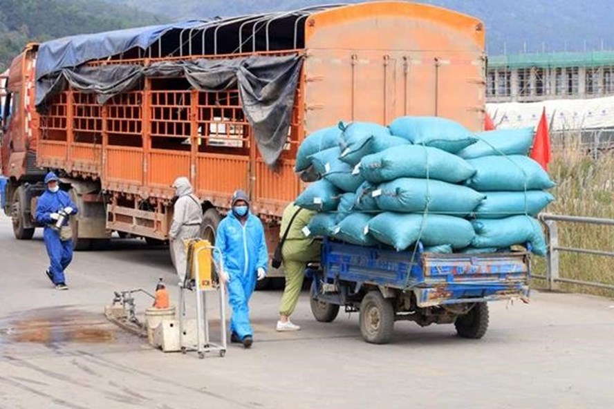 Hải Dương: Hướng dẫn hàng hóa ra vào khu vực phong tỏa vì COVID-19