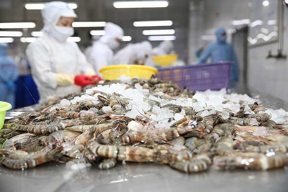 Mỹ bỏ áp thuế chống bán phá giá với "vua tôm" Minh Phú