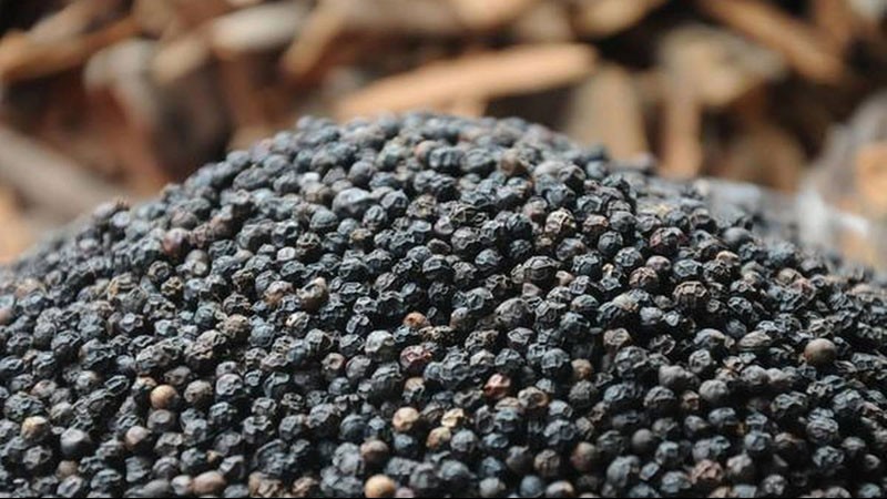 Giá tiêu ngày 25/2: Đồng loạt tăng, trong nước cán mốc 55.000 đồng/kg