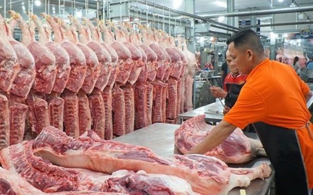 Giá lợn hơi ngày 5/3: Biến động trái chiều tại một số tỉnh thành