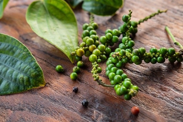 Giá tiêu ngày 8/3: Trong khoảng 57.500 - 60.000 đồng/kg.