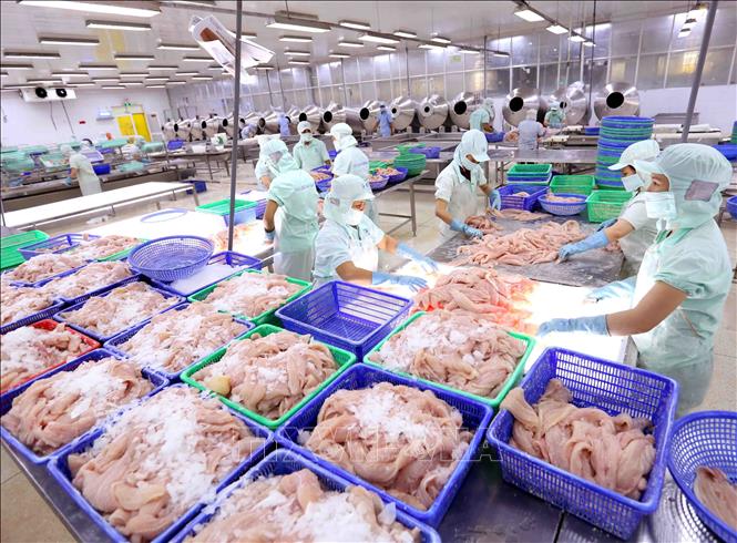Phòng chống dịch Covid-19 quyết liệt đã giúp kinh tế từng bước phục hồi