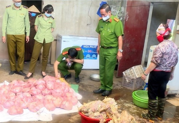 Thái Nguyên: Phát hiện hơn 3 tấn gà bốc mùi chuẩn bị được tuồn ra thị trường