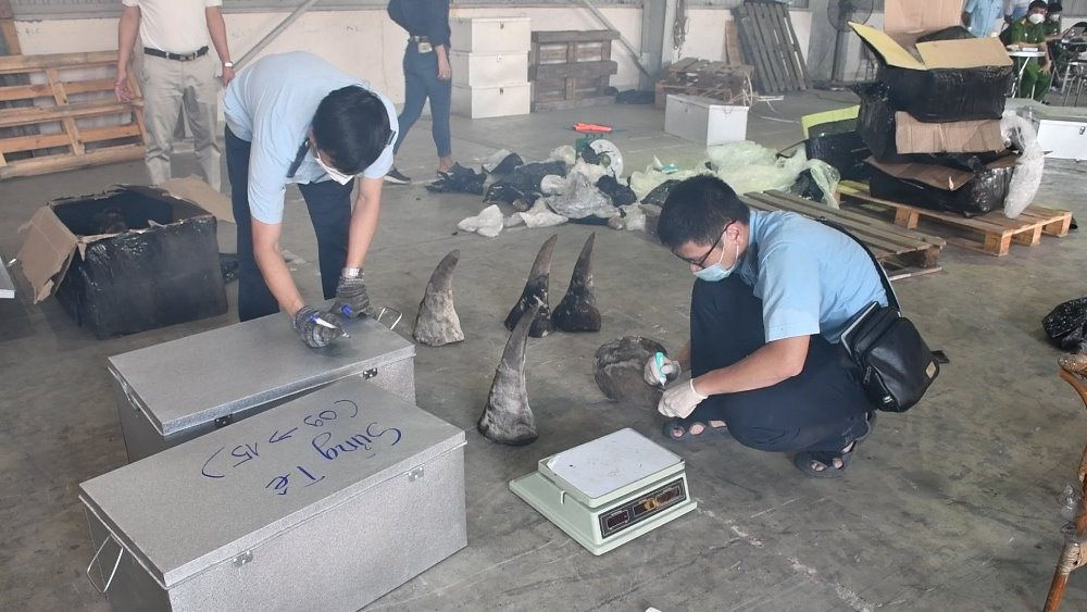 Đà Nẵng phát hiện số lượng lớn sừng và xương động vật quý hiếm