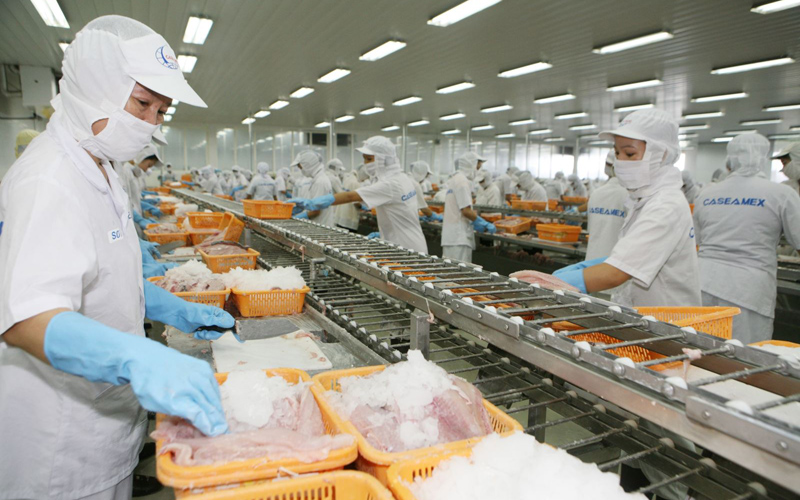 Hàng loạt lô nguyên liệu thủy sản ách tắc tại cảng, DN “khóc ròng” vì thiếu nguyên liệu sản xuất