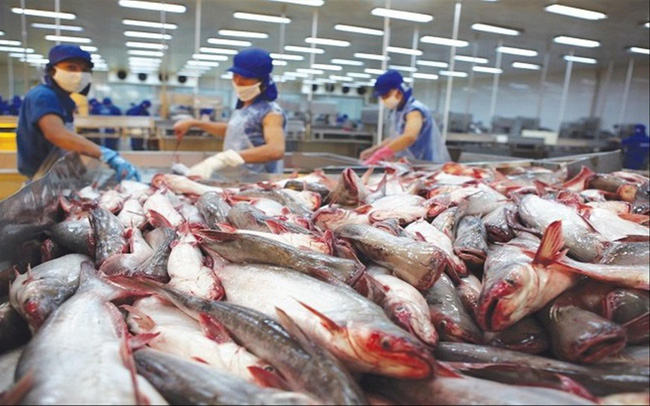 Năm 2022 phấn đấu kim ngạch xuất khẩu cá tra đạt trên 1,6 tỷ USD