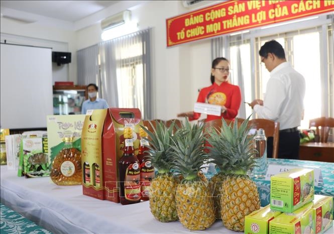 Huyện Tây Hòa (Phú Yên): Hướng dẫn cán bộ HTX lập dự án tiêu thụ nông sản
