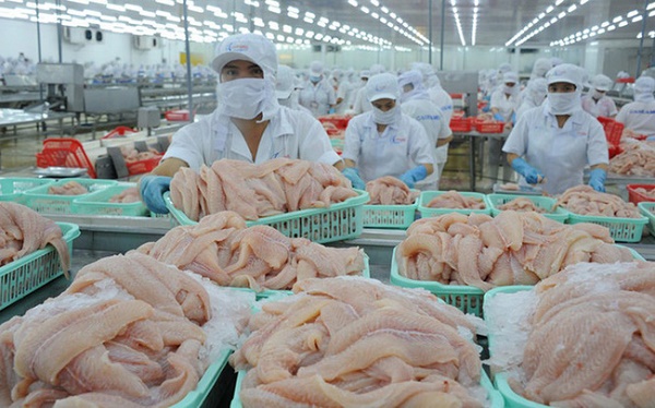 Thêm 6 nhà máy chế biến cá tra của Việt Nam được phép xuất khẩu sang Mỹ