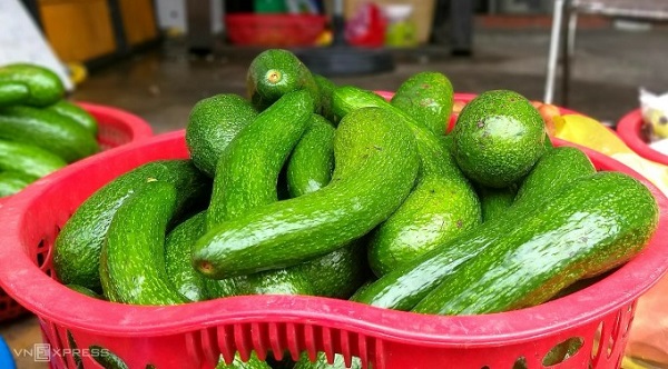 Giá bơ đặc sản xuống thấp nhất từ trước tới nay