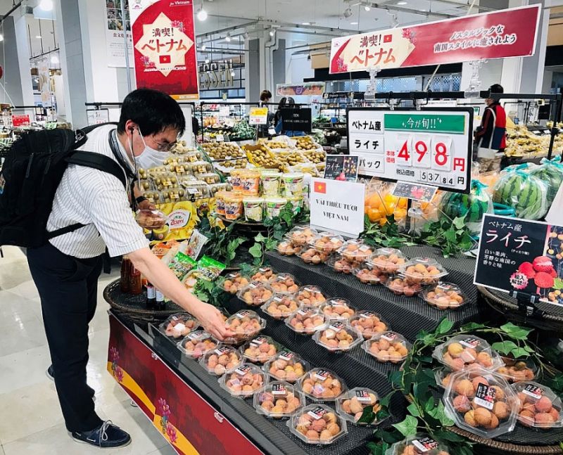 Quảng bá vải thiều và các loại hoa quả khác của Việt Nam tới người tiêu dùng Nhật Bản