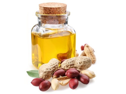 Hiệu quả từ một mô hình sản xuất dầu lạc