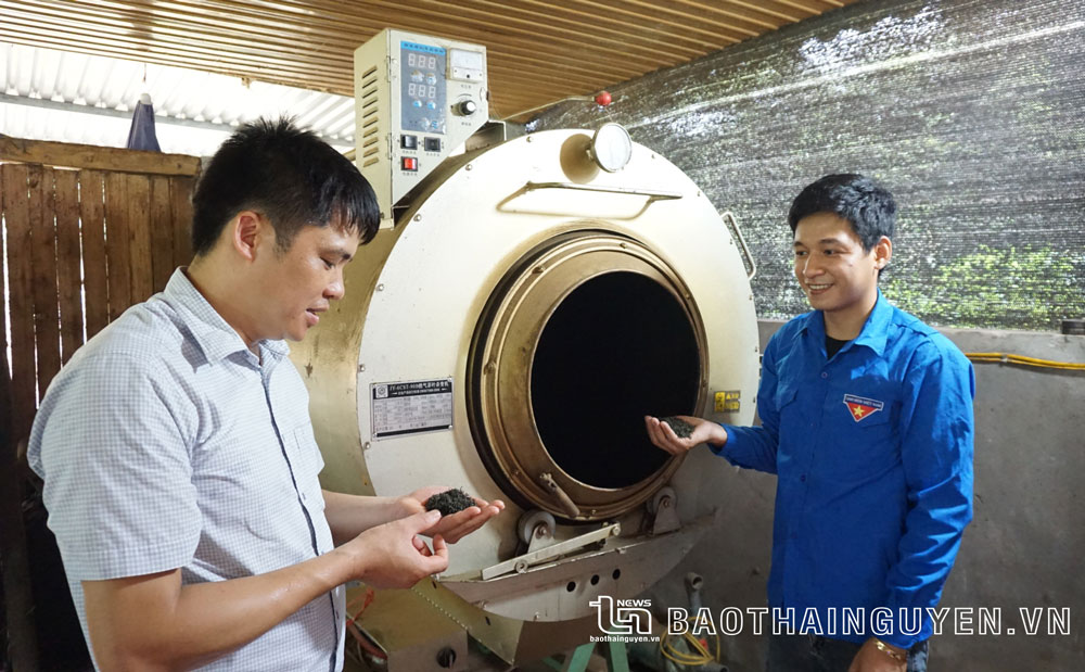 Thái Nguyên: Thanh niên khởi nghiệp với mô hình hợp tác xã