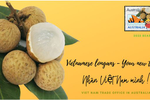 Gần 10 tấn nhãn Việt “đổ bộ” thị trường Úc