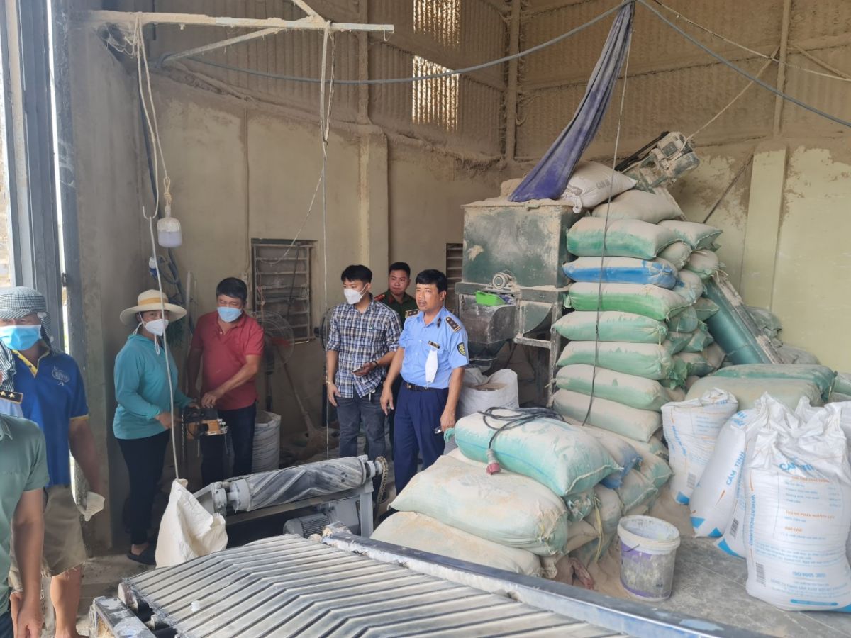 Hàng chục tấn cám mỳ WHEAT POLLARD trộn bột đá tại Hải Dương