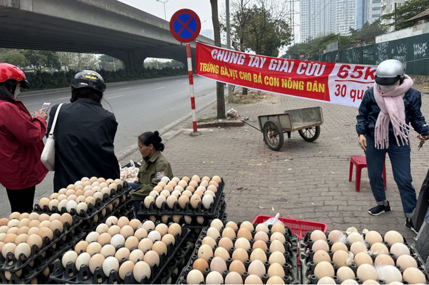 Cảnh báo xuất hiện hàng loạt thuốc giả, không rõ nguồn gốc trên thị trường