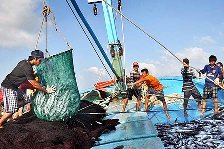 Chuyển đổi một số nghề khai thác hải sản ảnh hưởng đến môi trường sinh thái