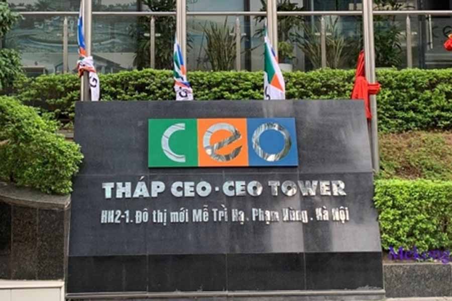 Tập đoàn CEO bị xử phạt vì kê khai sai thuế