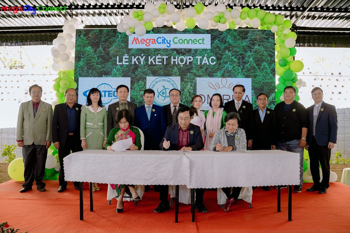 Tổ chức Caravan - Hoạt động đầu tiên của MegaCity Connect