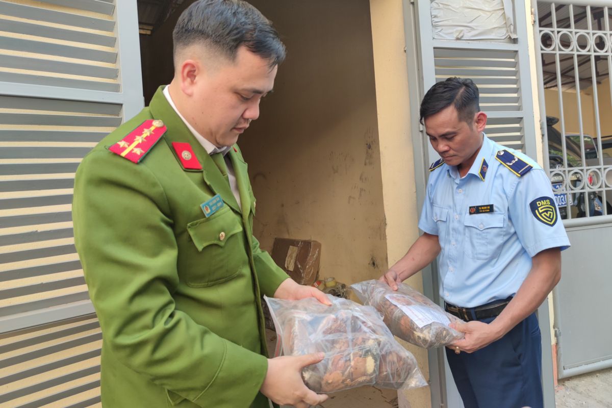 Lào Cai ngăn chặn, xử lý 1.200 kg dược liệu không rõ nguồn gốc