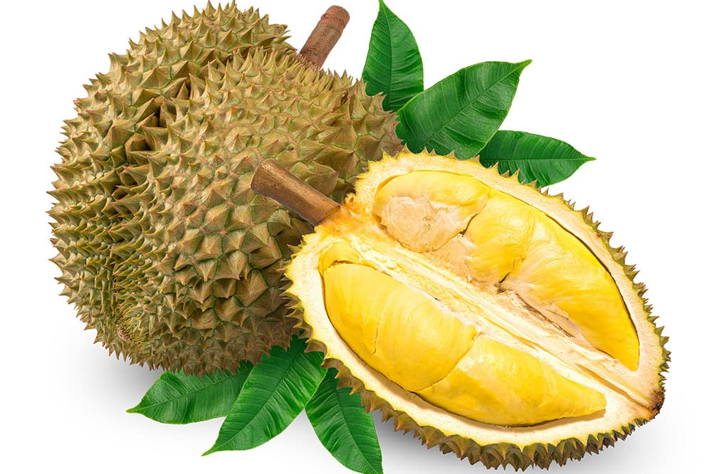 Thêm nhiều cơ sở và vùng trồng sầu riêng được cấp mã số xuất khẩu
