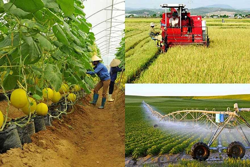 Ra mắt Hệ thống truy xuất nguồn gốc xúc tiến thương mại áp dụng công nghệ chuỗi khối