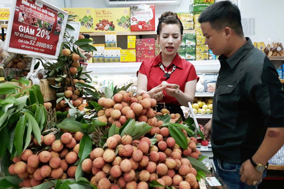 Thủ tướng yêu cầu cấp bách giảm ùn ứ và thúc đẩy xuất khẩu nông sản