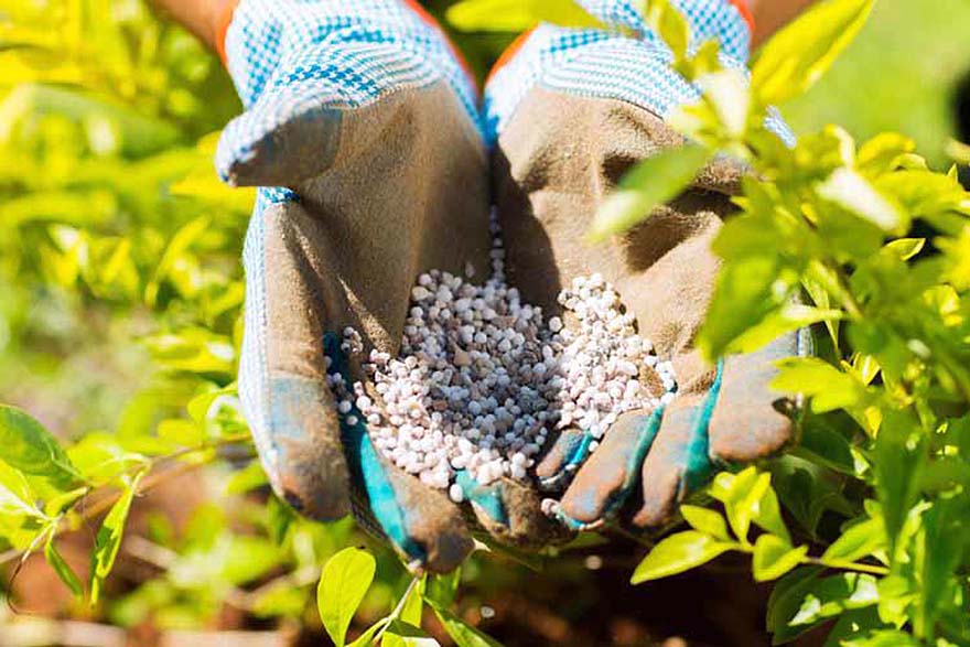 Quy định mới về thuế xuất khẩu, thuế nhập khẩu ưu đãi