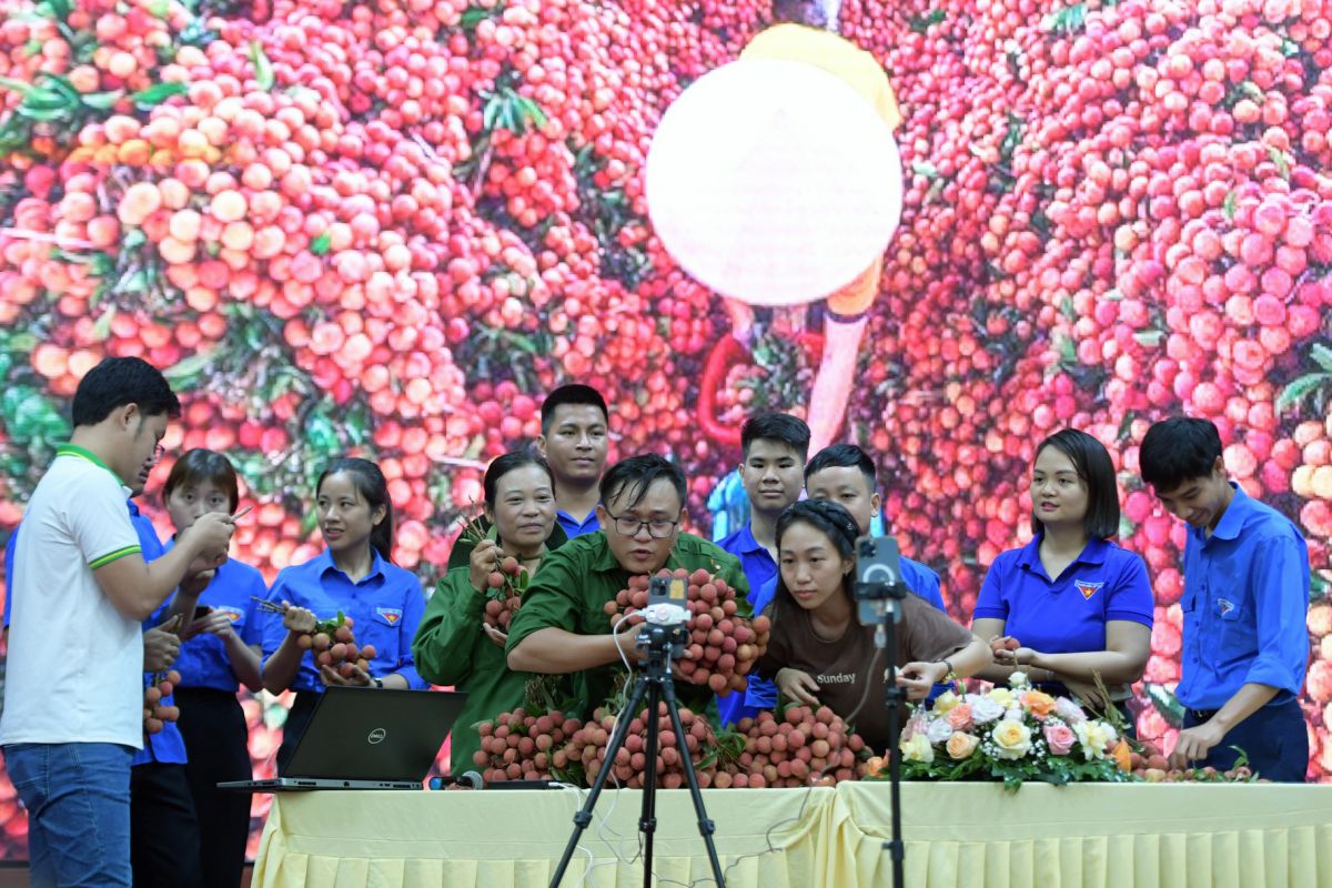 Thanh niên tỉnh Bắc Giang được tập huấn bán hàng nông sản thông qua hình thức livestream.
