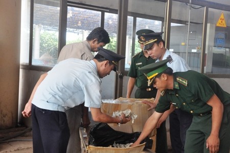 Xử lý nghiêm hành vi vận chuyển trái phép chim yến và các sản phẩm từ tổ yến