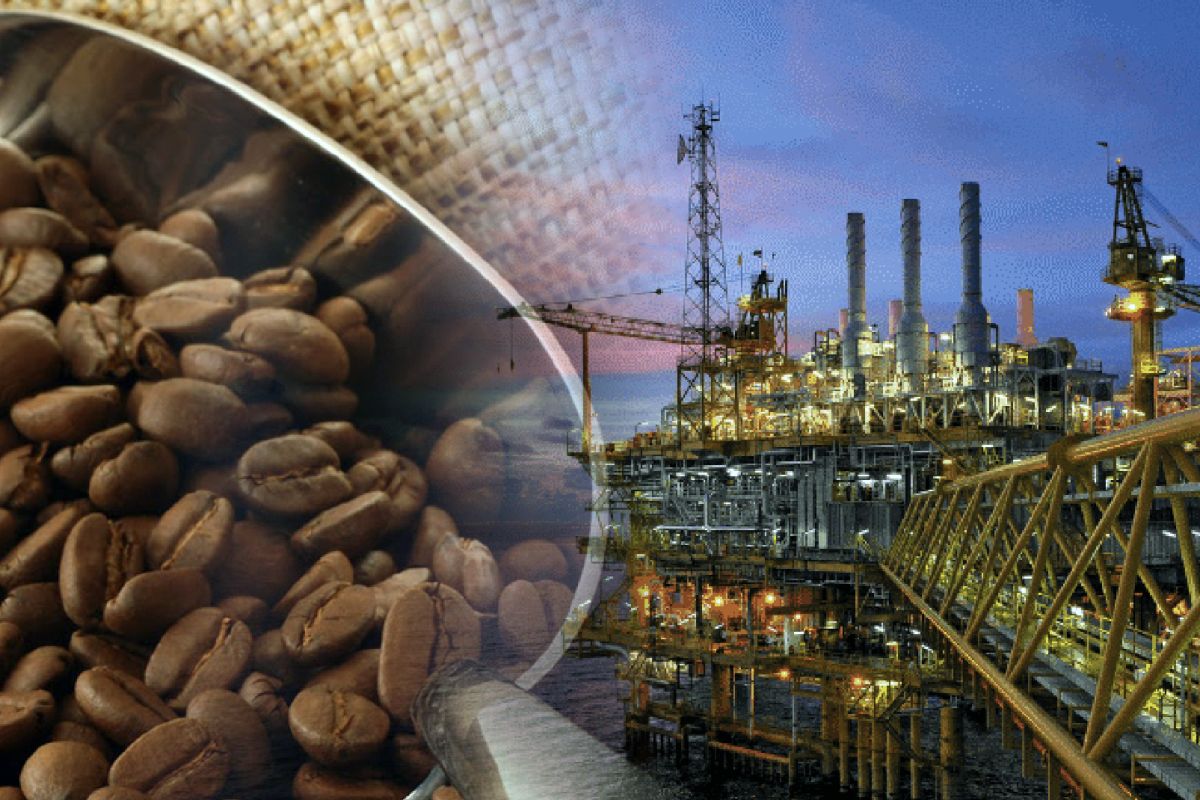 Nhóm nông sản tiếp tục dẫn dắt đà tăng trên thị trường hàng hóa